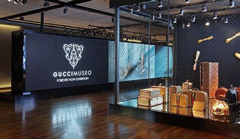 brasilla gucci|gucci sao paulo.